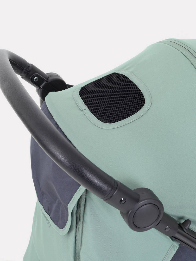 Коляска прогулочная Rant Basic Alpine Eva Green