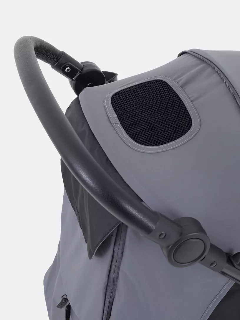 Коляска прогулочная Rant Basic Alpine 2025 Graphite