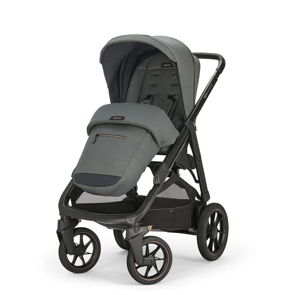 Коляска 2 в 1 Inglesina Aptica XT New с подставкой под люльку Stand Up, Taiga Green