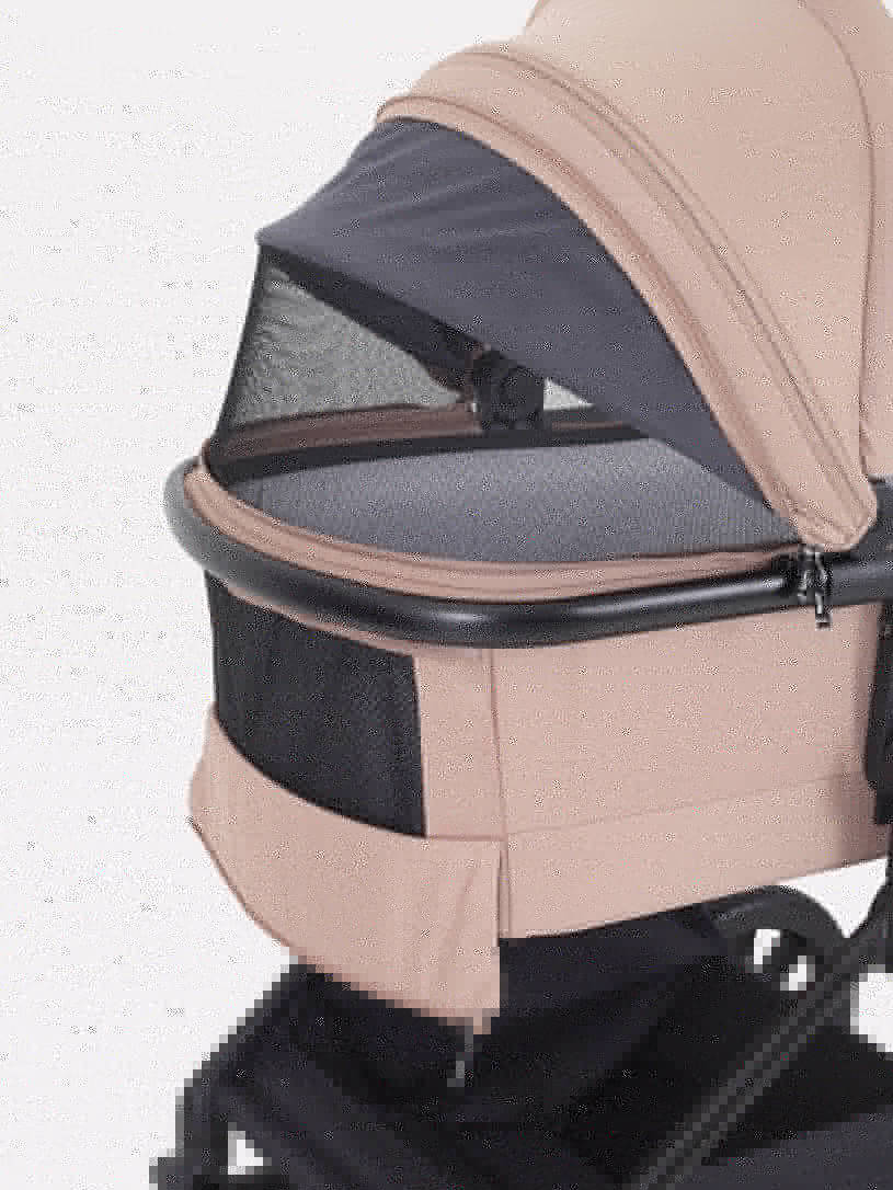 Коляска 2 в 1 Rant Moss Midnight black