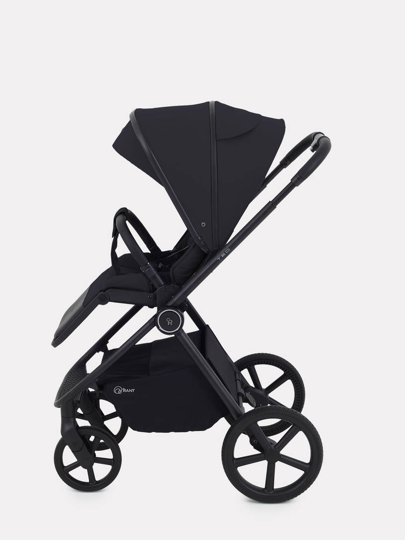 Коляска 2 в 1 Rant Teo Black