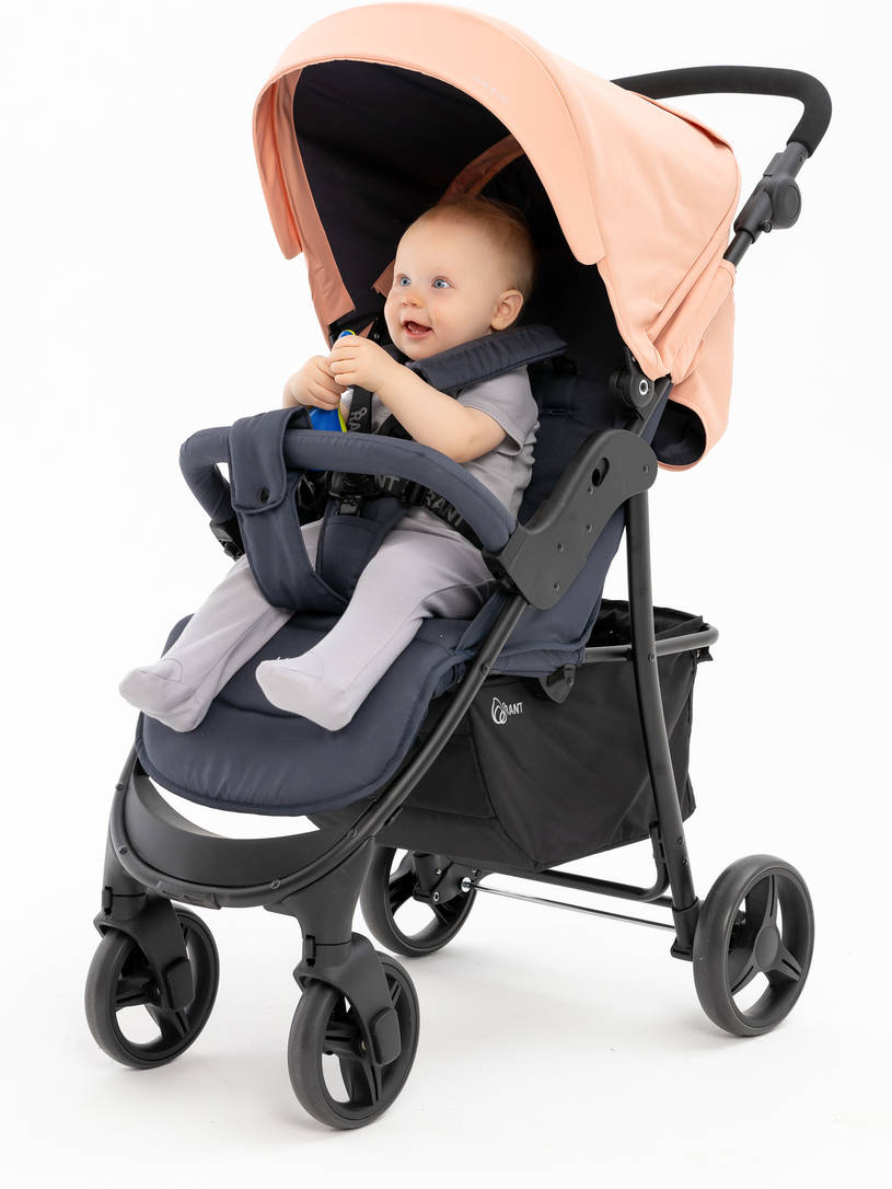 Коляска прогулочная Rant Basic Kira Coral