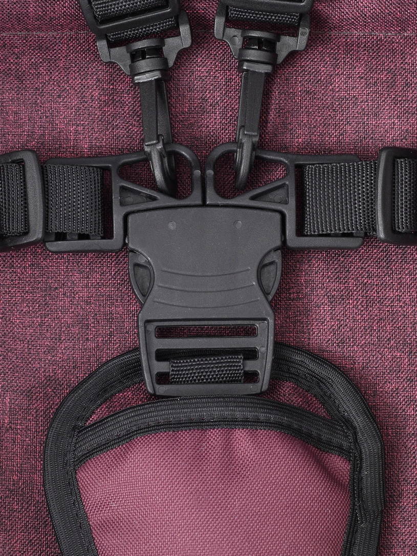 Коляска 2 в 1 Rant Patio Purple