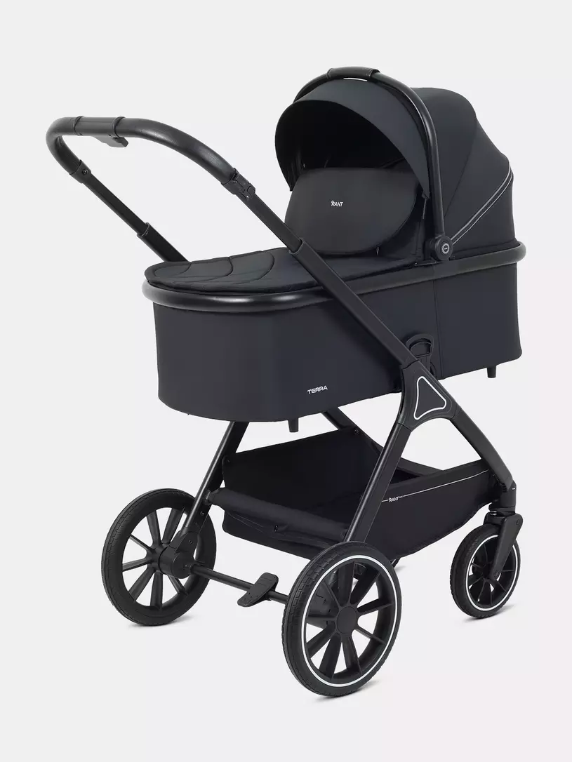 Коляска 2 в 1 Rant Basic Terra Black