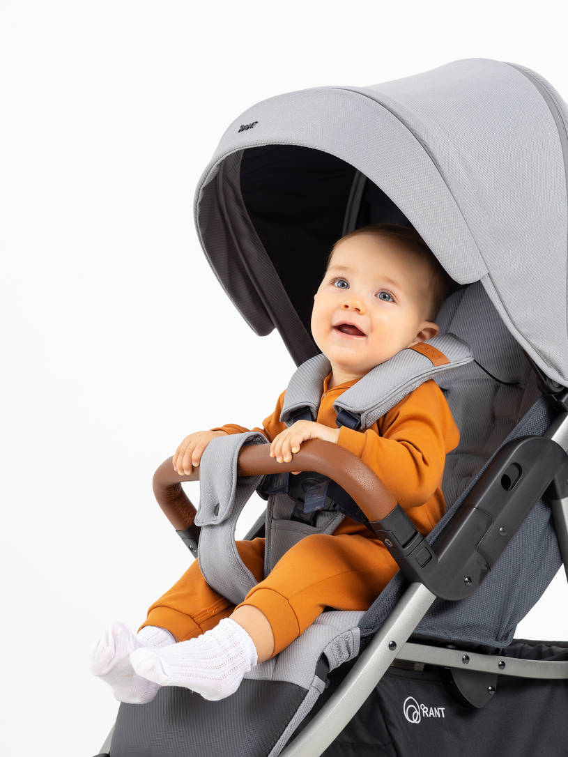 Коляска прогулочная Rant Vega 2023 Grey