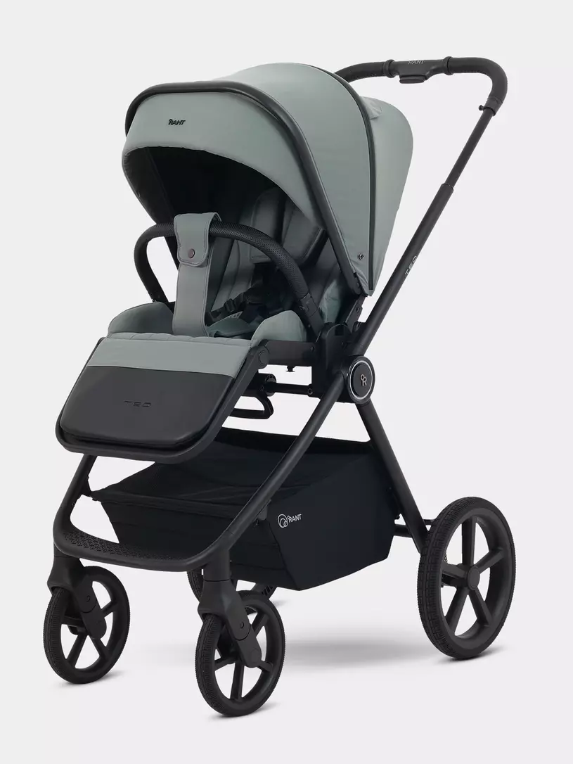 Коляска 2 в 1 Rant Teo Soft Olive