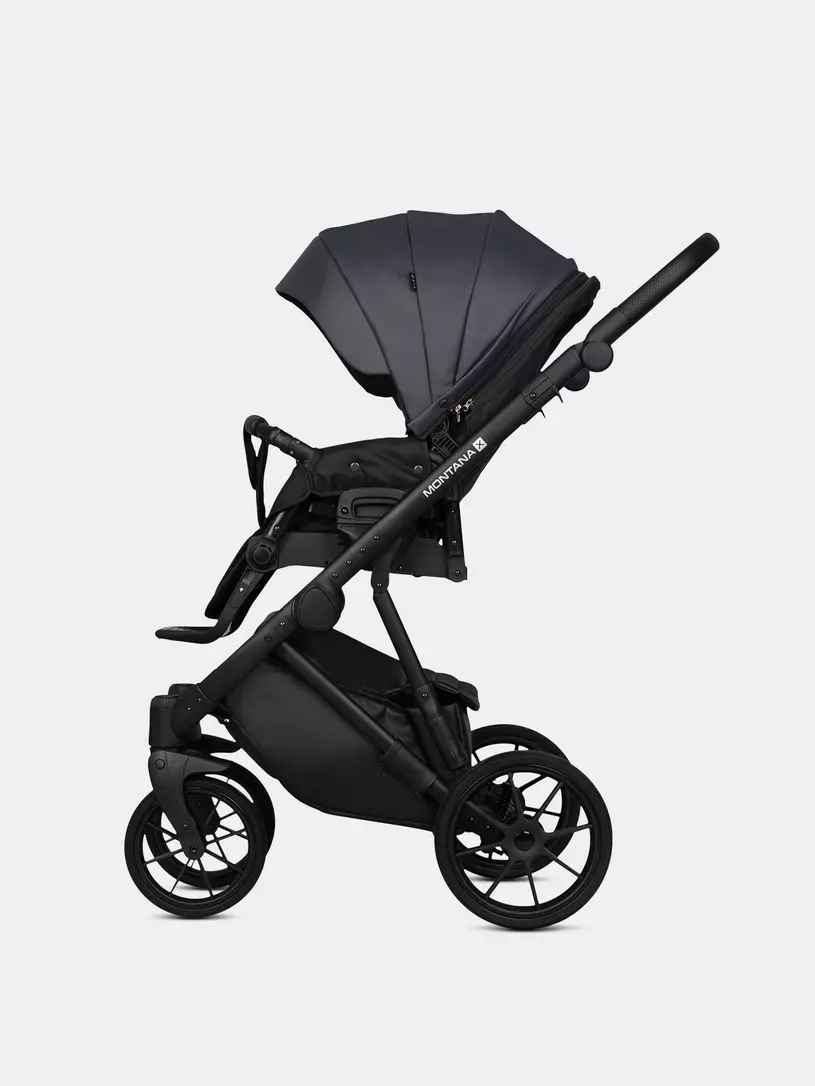 Коляска 2 в 1 Riko Basic Montana X Ecco 24 Graphite