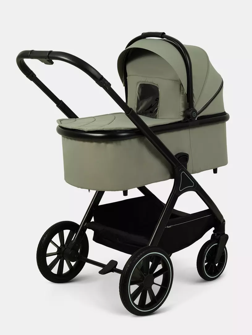 Коляска 2 в 1 Rant Basic Terra Olive
