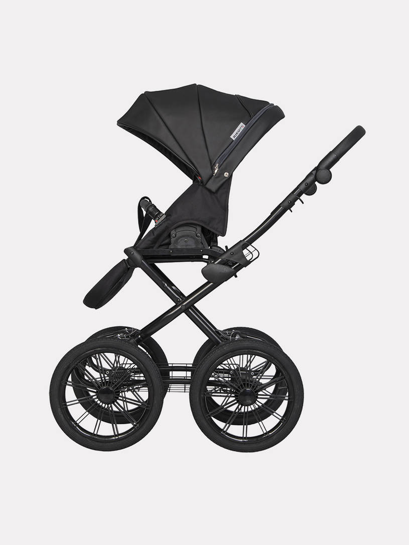 Коляска 2 в 1 Riko Basic Aicon Ecco Prestige 01 черный