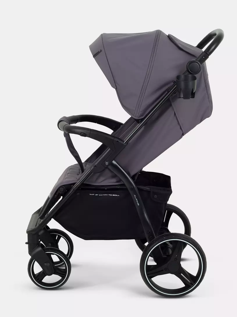 Коляска прогулочная Rant Basic Alpine 2026 Dark grey