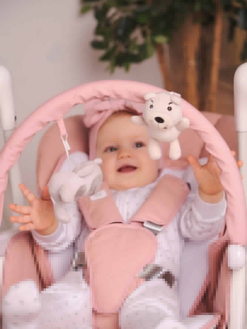 Стульчик для кормления Rant Melody cloud pink