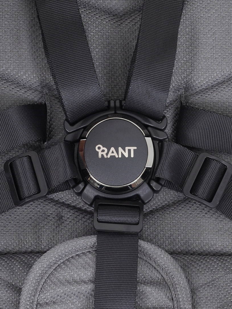 Коляска 2 в 1 RANT FLEX PRO 2023 RA074 GREY
