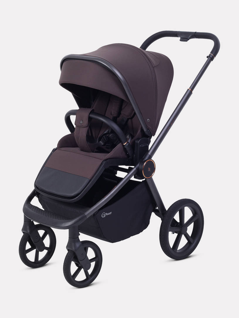 Коляска 2 в 1 Rant Flex Soft Therm Shine brown