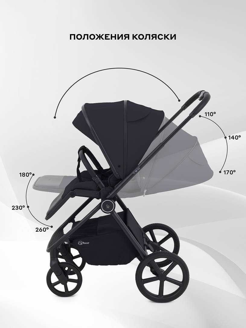 Коляска 2 в 1 Rant Teo Black