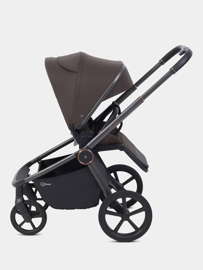 Коляска прогулочная Rant Flex Color Shine brown