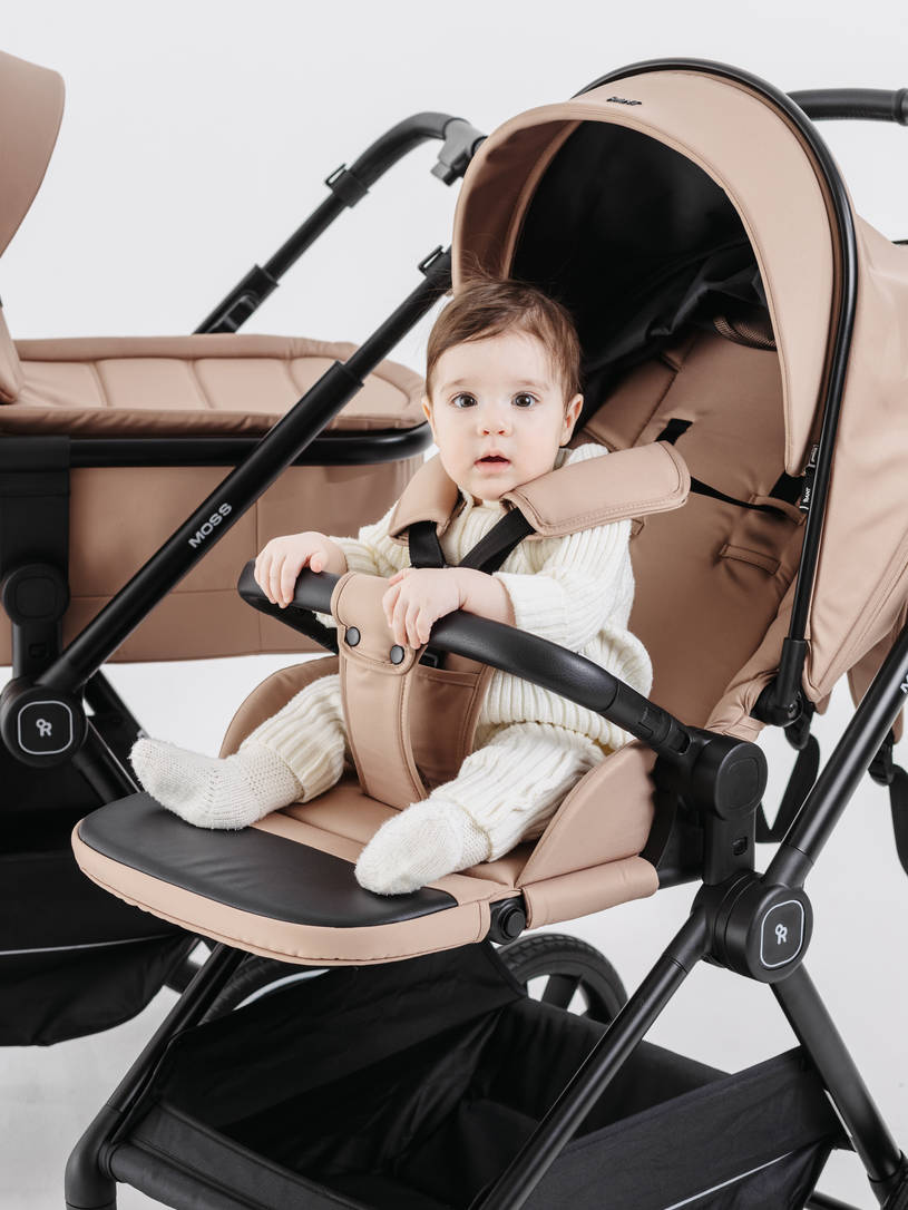 Коляска 2 в 1 Rant Moss Midnight black