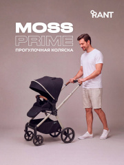Коляска прогулочная Rant Moss Prime Black