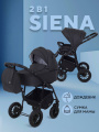 Коляска 2 в 1 Rant Siena 2024 08 графит