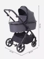 Коляска 2 в 1 Rant Basic Wave Graphite