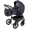 Коляска 2 в 1 Rant Patio Graphite