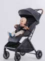 Коляска прогулочная Rant Basic Joy Black