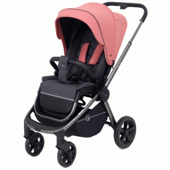 Коляска прогулочная Rant Flex Pro 2023 RA099 Pink