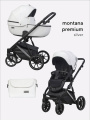 Коляска 2 в 1 Riko Basic Montana Premium Silver 21