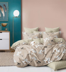 КПБ Dream Fly 2 спальный DF02-525-50 код1179