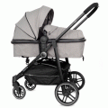 Коляска-трансформер 2 в 1 Rant Azure Trends RA147 alu. Mineral Silver. Цвет: Темно-серый