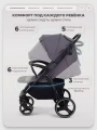 Коляска прогулочная Rant Basic Alpine 2026 Dark grey