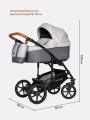 Коляска 2 в 1 Riko Basic Bella Life 01 Gray-Fox серый