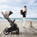 Прогулочная коляска Inglesina Maior , Khali Beige