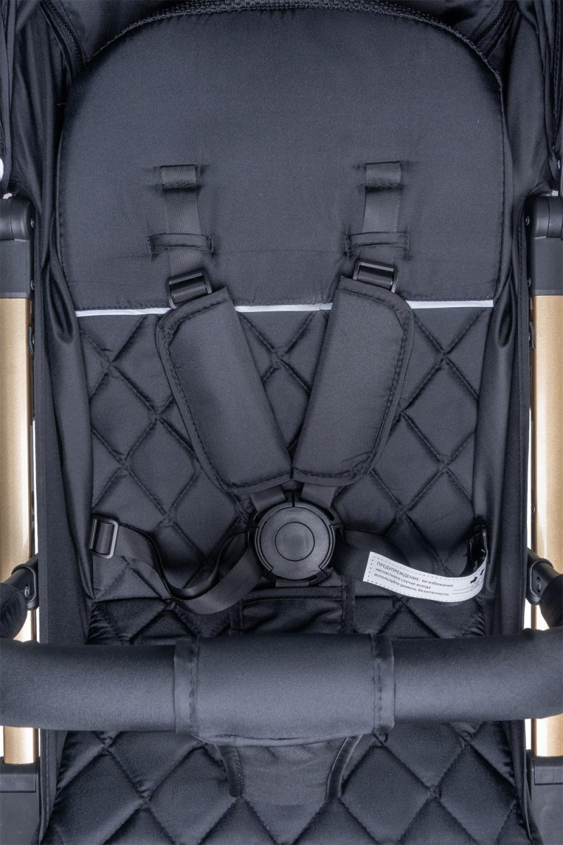 Коляска детская прогулочная Farfello Comfy Go (Golden black/ золотой черный (золото) CG-99)