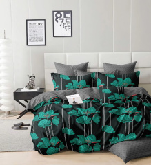 КПБ Dream Fly 2 спальный DF02-522-50 код1179