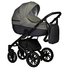 Коляска 2 в 1 Indigo Mio