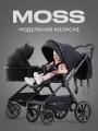 Коляска 2 в 1 Rant Moss Latte beige