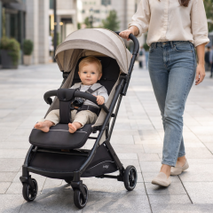 Коляска прогулочная Indigo ONYX бежевый