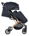 Коляска детская прогулочная Farfello Comfy Go (Golden black/ золотой черный (золото) CG-99)
