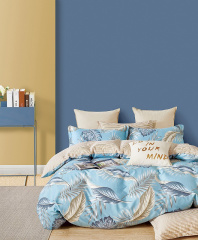 Twill евро 2 наволочки в ПВХ TPIG3-1723 КОД1171