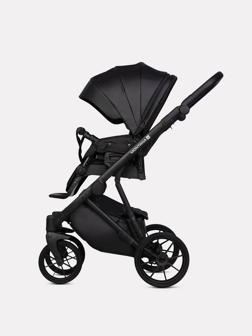 Коляска 2 в 1 Riko Basic Montana Ecco X 12 Black