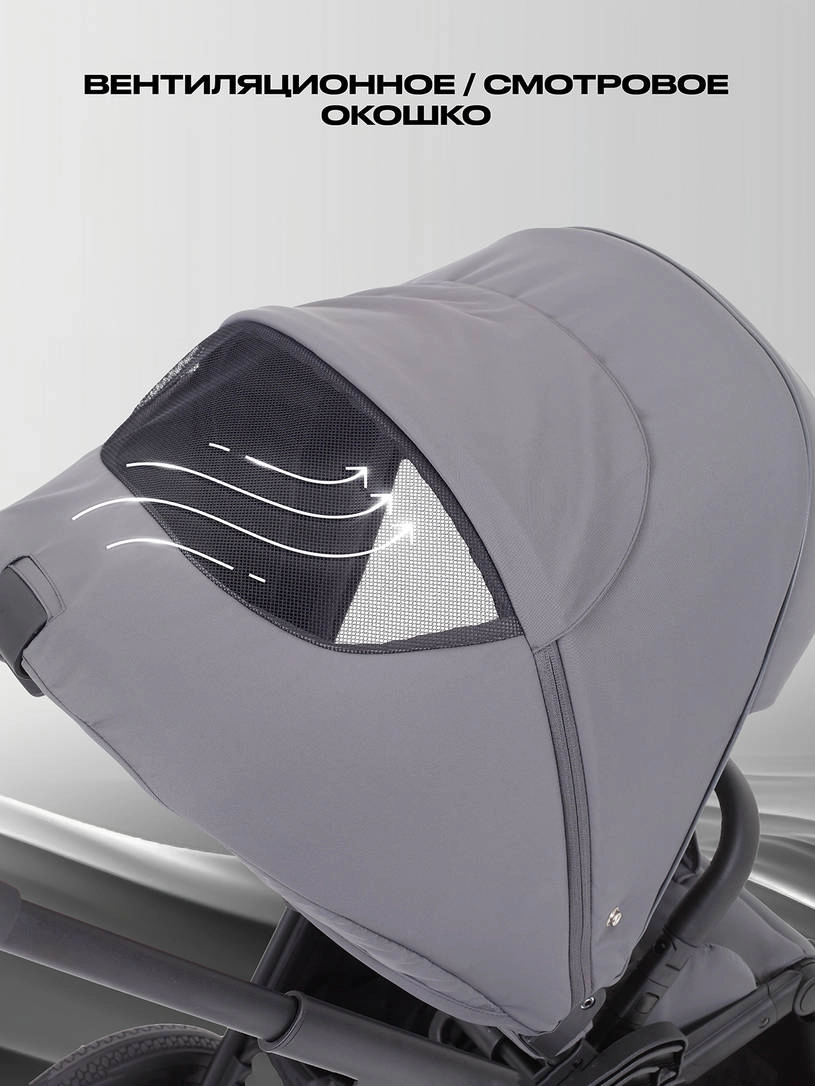 Коляска 2 в 1 Rant Flex 2025 RA076 Graphite