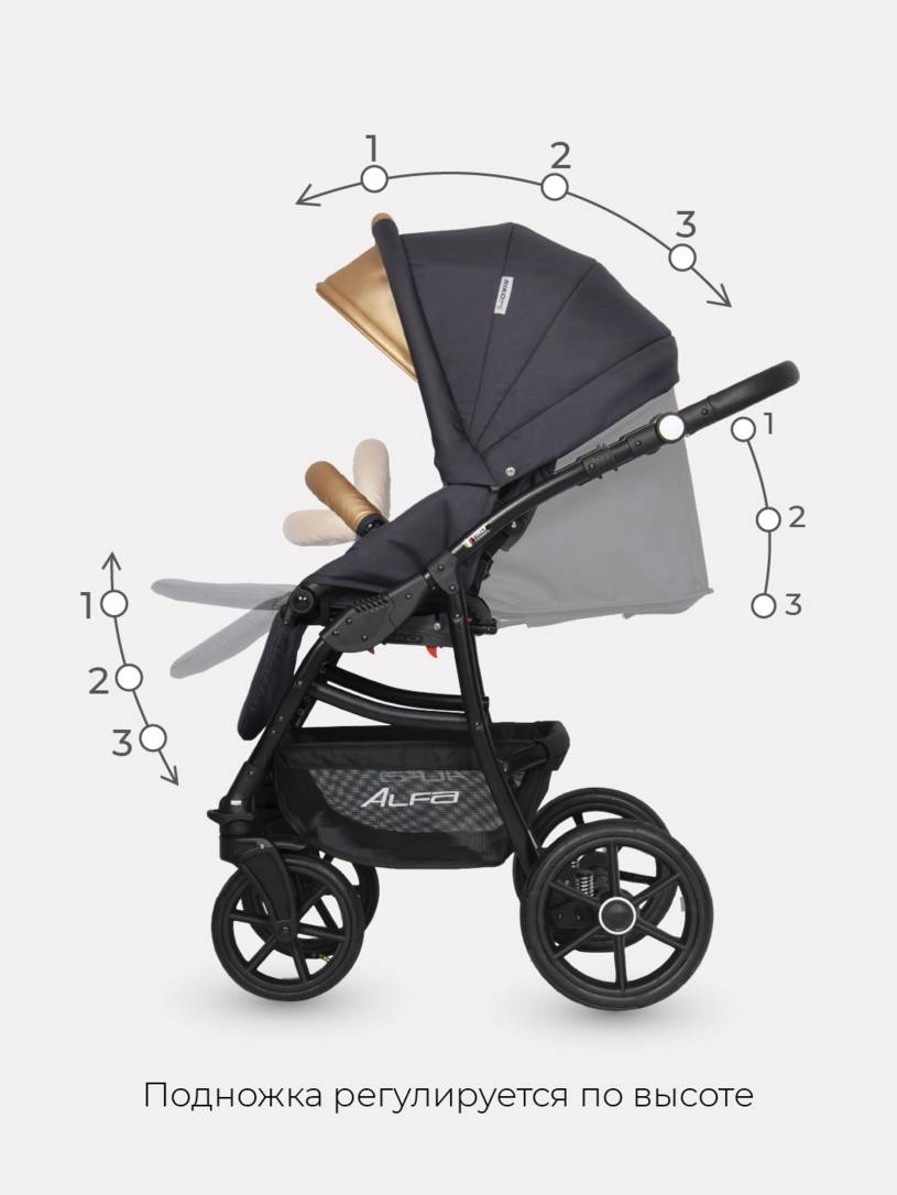 Коляска 2 в 1 Riko Basic Alfa Ecco 02 черно-золотистый