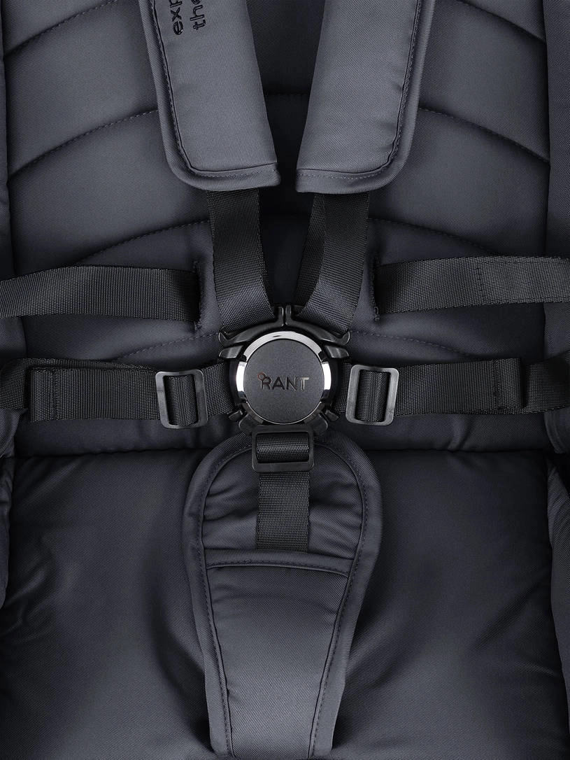 Коляска 2 в 1 Rant Falcon Therm Graphite