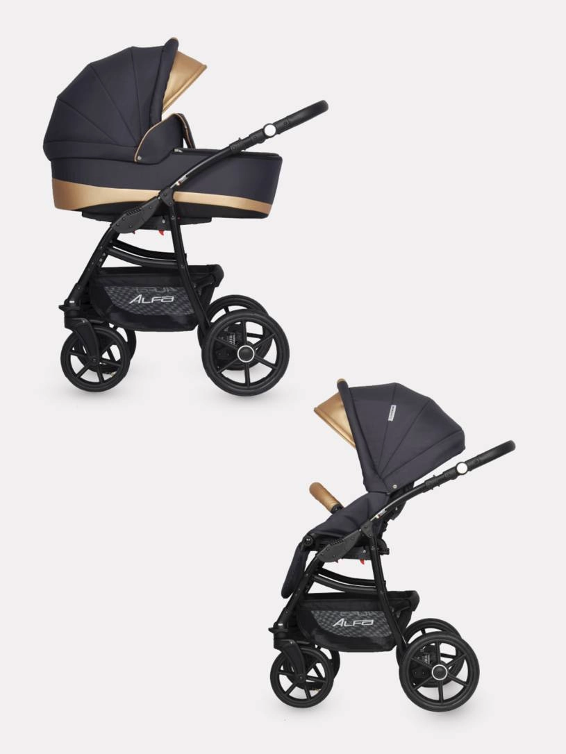 Коляска 2 в 1 Riko Basic Alfa Ecco 02 черно-золотистый