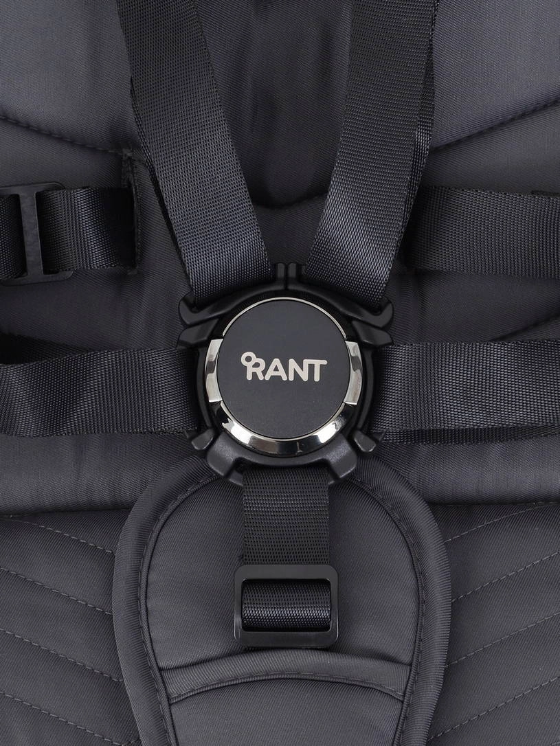 Коляска прогулочная Rant Flex Pro 2023 RA099 Pink