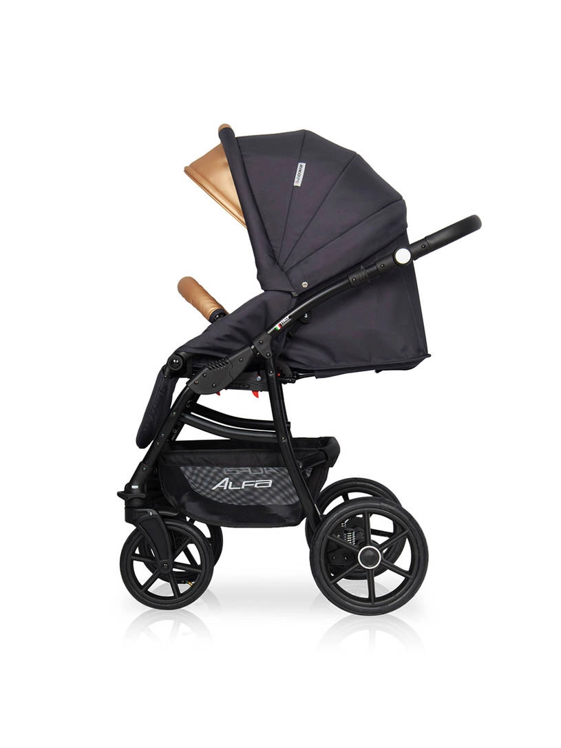 Коляска 2 в 1 Riko Basic Alfa Ecco 02 черно-золотистый