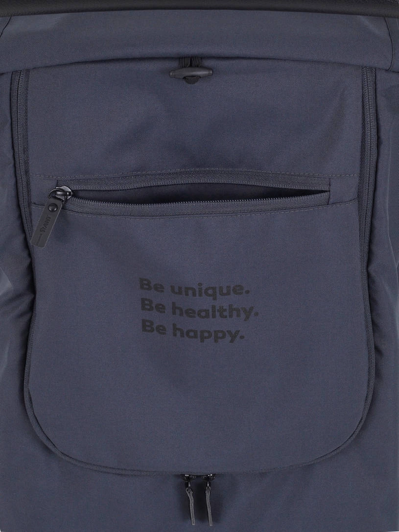 Коляска прогулочная Rant Basic Alpine Eva Graphite