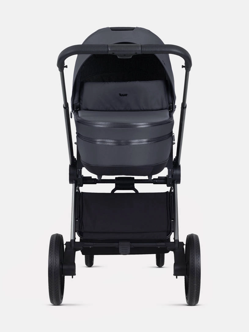 Коляска 2 в 1 Rant Falcon Therm Graphite
