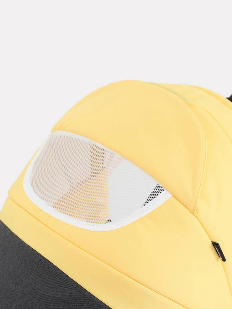 Коляска 2 в 1 Rant Siena 10 серый-желтый