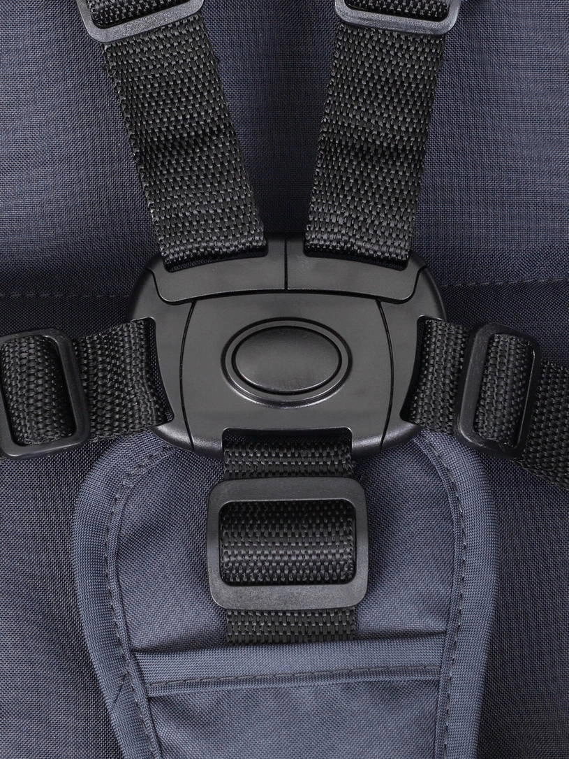 Коляска прогулочная Rant Basic Alpine Eva Graphite